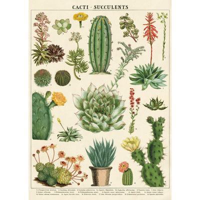 Buy your Wrap Sheet Cacti and Succulents at PaperSkyscraper.com