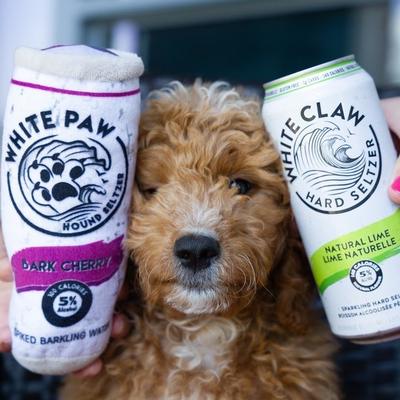 White Paw - Bark Cherry Pets Haute Diggity Dog  Paper Skyscraper Gift Shop Charlotte