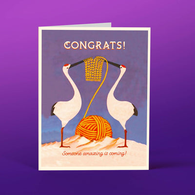 2 STORKS | New Baby Card Cards OffensiveDelightful  Paper Skyscraper Gift Shop Charlotte